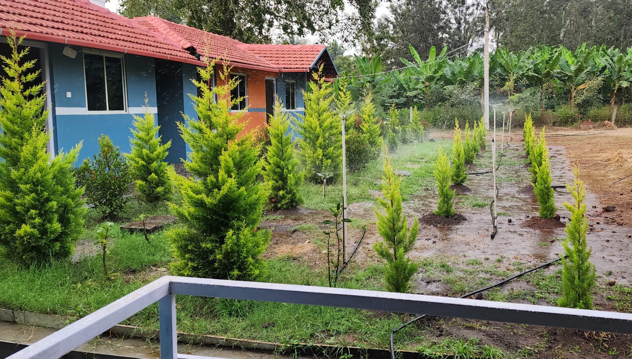 WhatsApp Image 2025-03-20 at 9.11.17 AM (1)