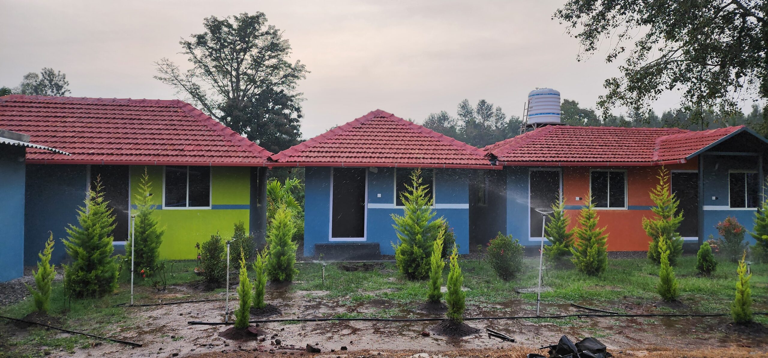 WhatsApp Image 2025-03-20 at 9.11.17 AM