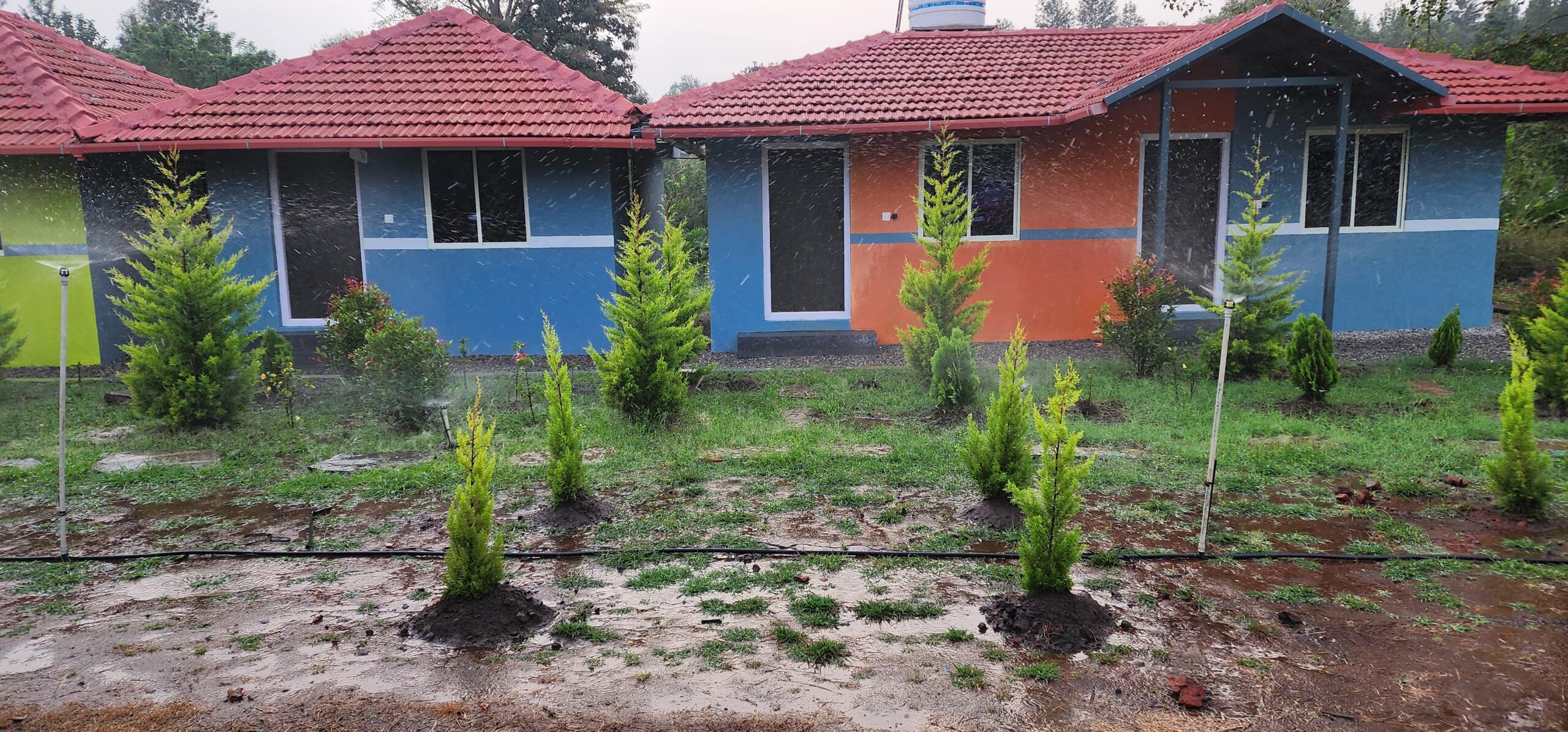 WhatsApp Image 2025-03-20 at 9.11.28 AM