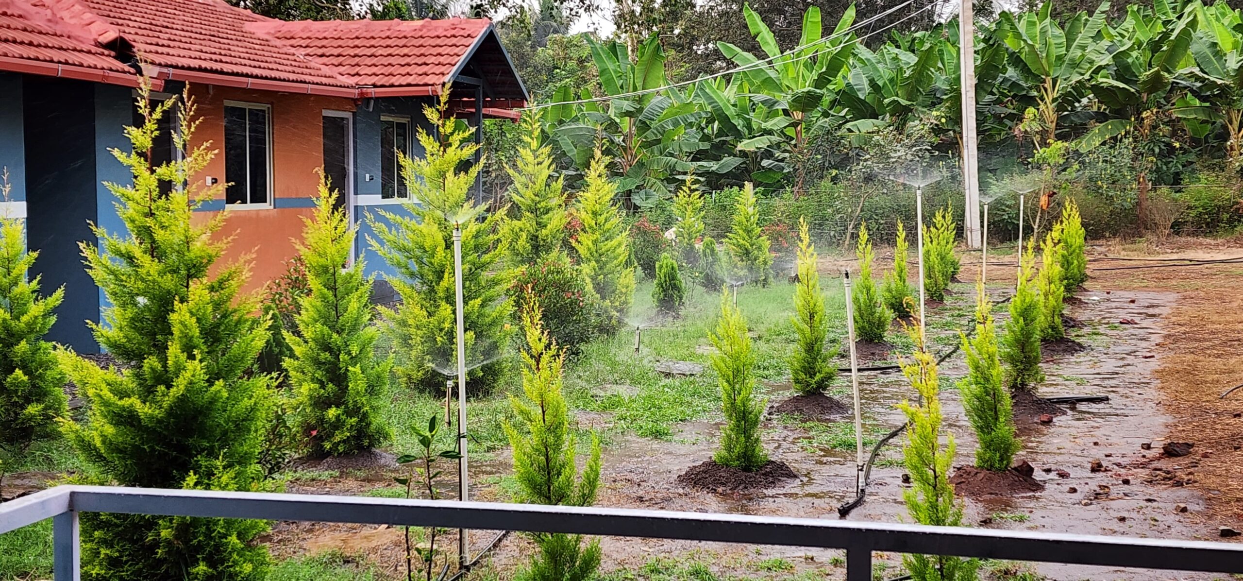 WhatsApp Image 2025-03-20 at 9.11.29 AM