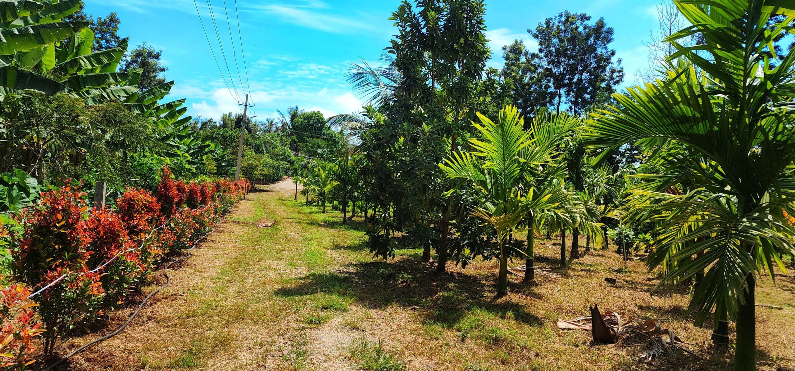 WhatsApp Image 2025-03-29 at 12.31.21 PM